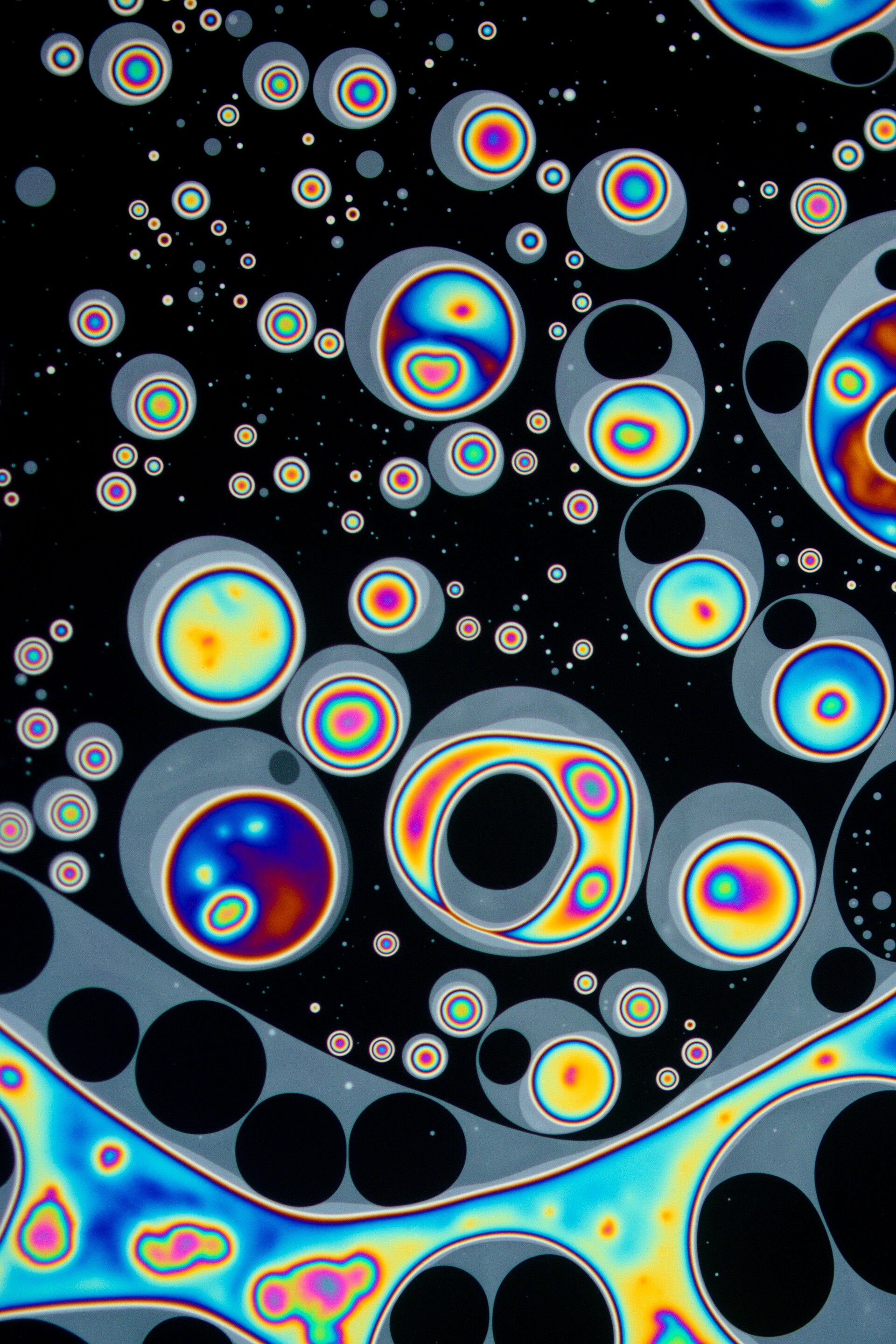 Close-up of a soap bubble’s surface: round islands of soap floating on a thin film of water